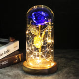 Eternal flower LED Light Foil Flower In Glass Cover Night Lights