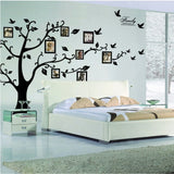 Tree Wall Sticker With Photo Frames