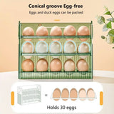 Acrylic 30 grids 3 layer Egg Organizer