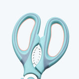 Stainless steel kitchen scissor