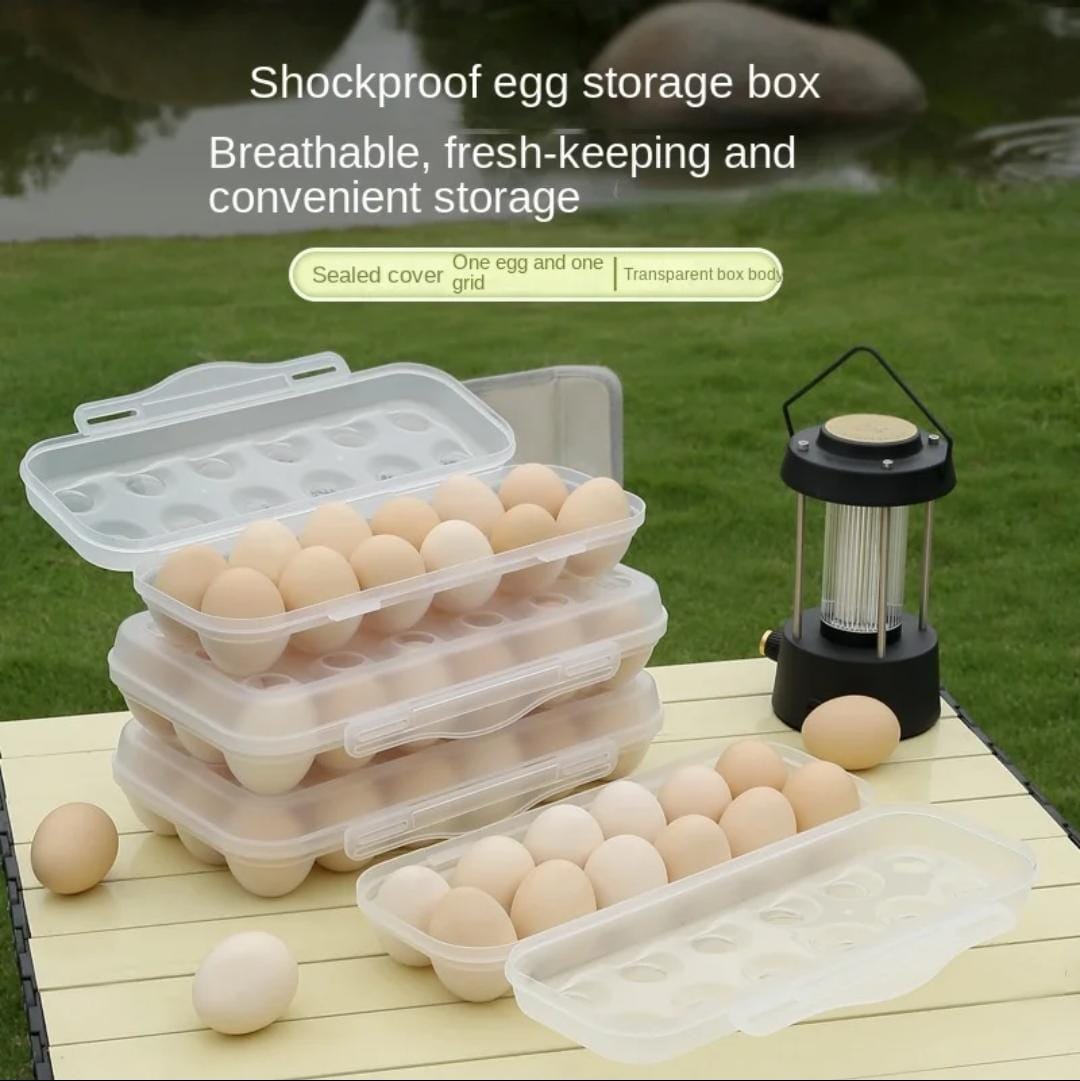 10 grid Egg storage Box