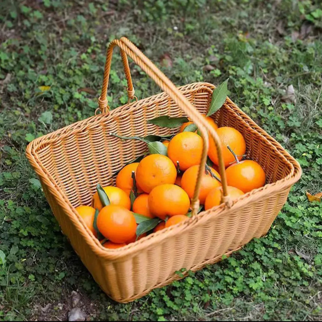 Woven Picnic Storage Basket