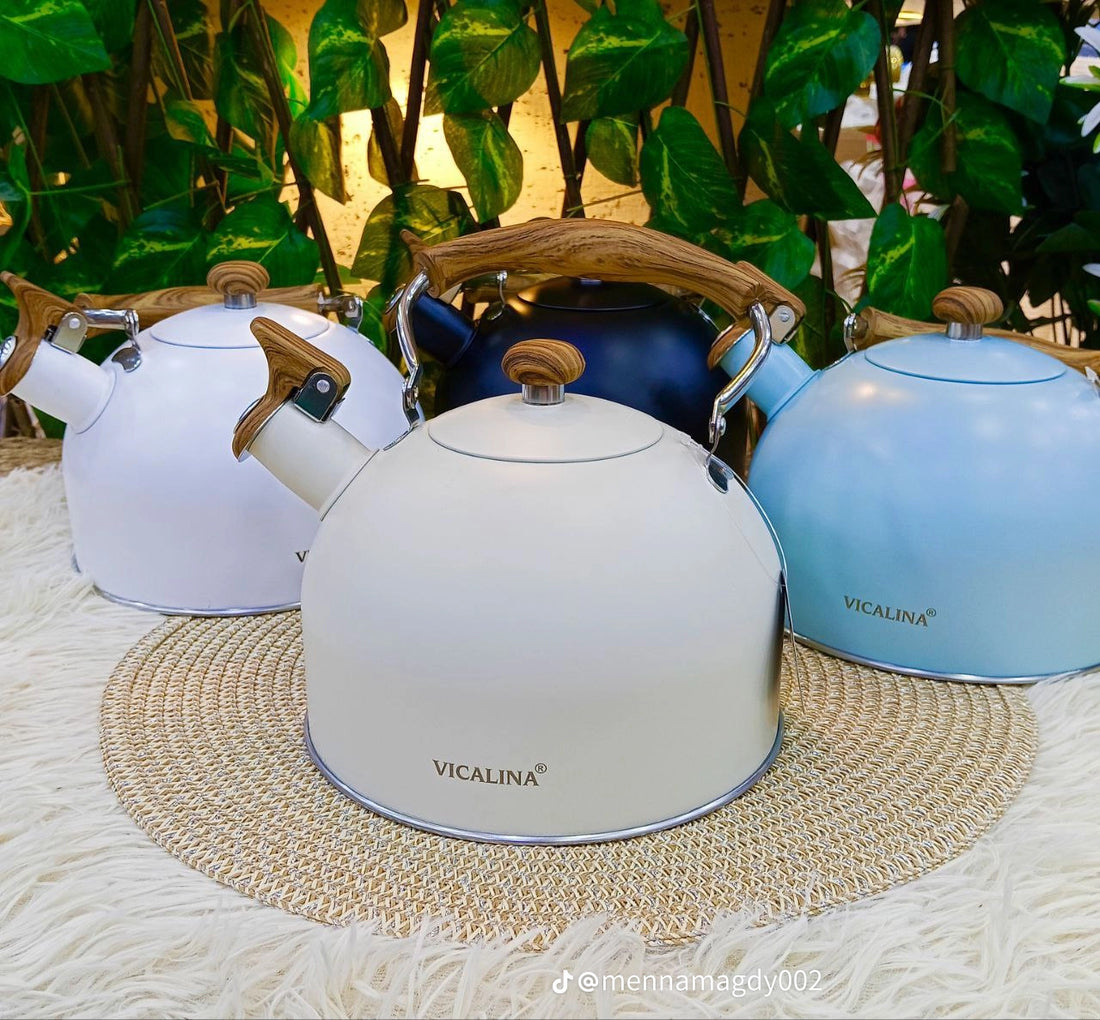 Vicalina / Rettberg 2.5L Stainless Steel Whistling Kettle