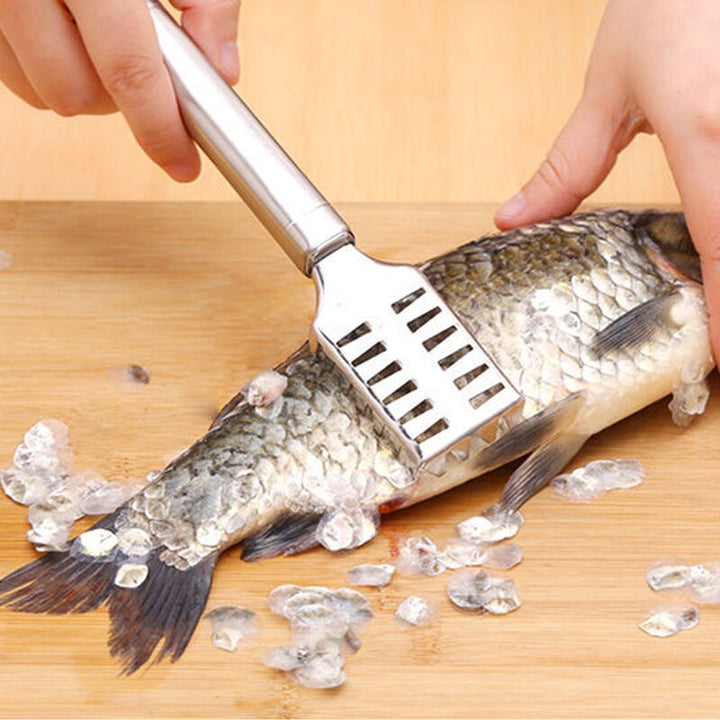 Fish Scale Remover Stainless Steel