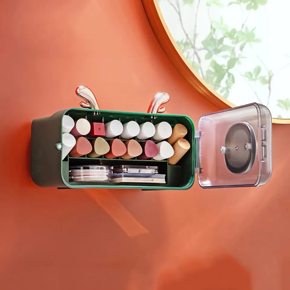 Wall Mount Lipstick Organizer